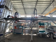 Massen-Platten-Herstellungs-Maschinen-Masse Tray Making Equipment der Jungfrau-270kgs/h