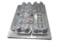 Sitzmassen-Form des Aluminium-12/formte Massen-Eierkartons mit CNC-Prozess