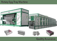 Energiesparende Massen-Formteil-Ausrüstung für Eierablage, Eierkarton-Mehrfachverbindungsstellen-Schicht