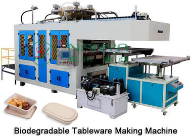 Pappteller-Geschirr, das Maschine trocken und Schnitt in Form CER Zertifikat macht