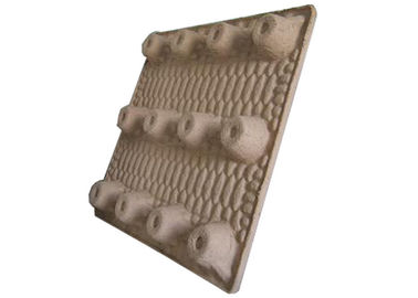 Maschine zum Pulpformformen von Pulpformpaletten