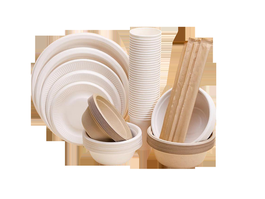 Biologisch abbaubares Papiergeschirr, das Maschine flexible und genaue Produktion herstellt