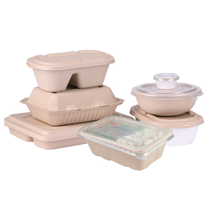 Vollautomatische Maschinen für die Herstellung von Tischgeschirr aus Bagasse-Zellstoff