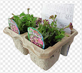 Papiergestaltungsmassen-Frucht-Behälter-Formung/Eierkarton-Maschine, 1000pcs/h