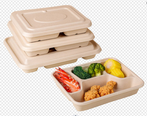 Vollautomatische Maschinen für die Herstellung von Tischgeschirr aus Bagasse-Zellstoff