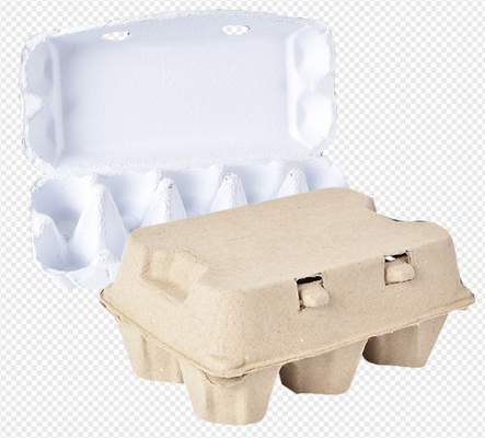 Altpapier-Eierablage-Maschinen-vollautomatische einzelne trocknende Schicht