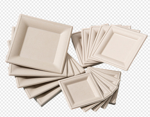Blankopapier-Massen-Geschirr-/Dishware-Massen-Formteil-Ausrüstung ab 1800 ~18000Pcs/H