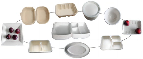 Thermoform nehmen Nahrungsmittelkasten-Platten-Herstellungs-Maschine 7000Pcs/H weg