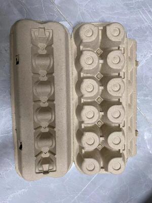 Massen-Formteil-Papier-Eierkarton-Maschine, automatische Eierablage-Fertigungsstraße