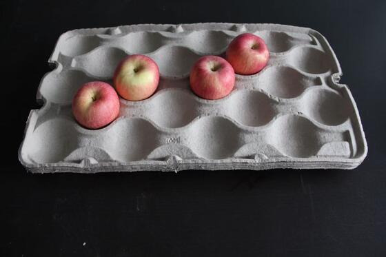 Die mittlere Kapazität bereiten die Papiereierablage auf, die Maschine mit Trockner herstellt