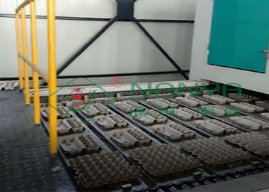 Völlig geformter Tray Making Machine For Egg-Selbstbehälter/Eierkarton/Säen der Schalen-Fertigungsstraße