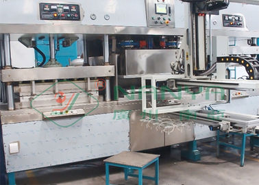 Papiermasse Brotdose-ovale Schüssel-Formteil-Maschine mit Selbstroboter