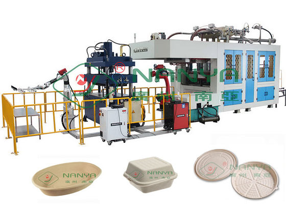 biologisch abbaubare Formteil-Geschirr-Ausrüstung 40 Ton Pressure der Massen-300Kg/H