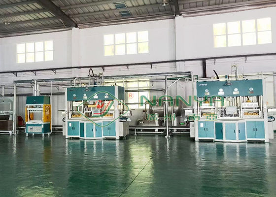 250kw Thermoforming formte Massen-Maschine für Pracht-inneres Paket