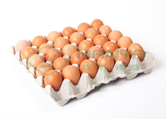 Masse geformte Produkt-Eierablage-Fertigungsstraße, Massen-Gestaltungsmaschine