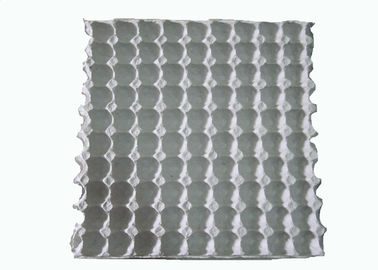 Zellstoffformmaschine für Einweg-weißes Papier geformte Wachteln-Ei-Karton / Ei-Tray mit 90 Hohlräumen