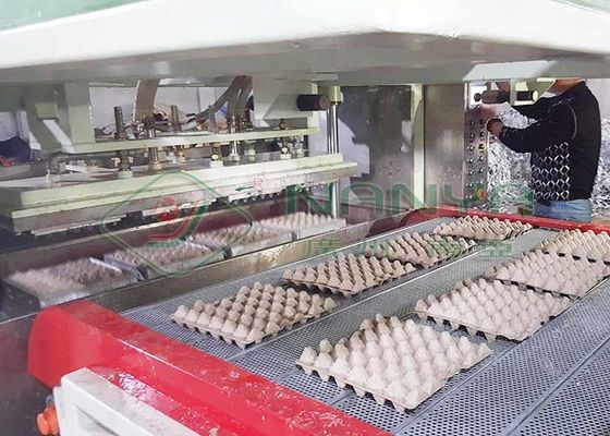 Zellstoffformmaschine für Einweg-weißes Papier geformte Wachteln-Ei-Karton / Ei-Tray mit 90 Hohlräumen