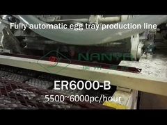 Rotations-Eier-Tray-Formmaschine mit einer Kapazität von 6000 Stück pro Stunde