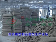 Zellstoffformmaschine mit Heißpresse