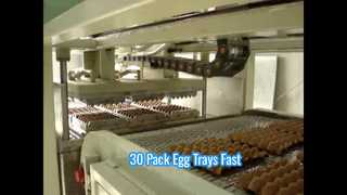 Kleine automatische Zellstoffformmaschine für Eierablage/Kleine Eierablagemaschine/30 verpackte Eierablagemaschine