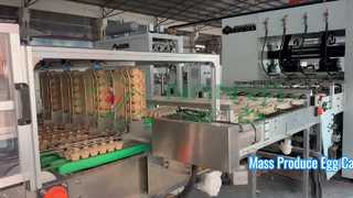 Vollautomatische Maschine zur Herstellung von Eierkartons/Massenproduktionsmaschine zur Herstellung von Eierschalen/Kartons
