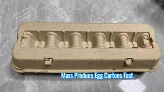 Vollautomatische Zellstoffformmaschine für Eierkarton/Eierkarton-Maschinenmaschine/Zellstoff-Eierkarton